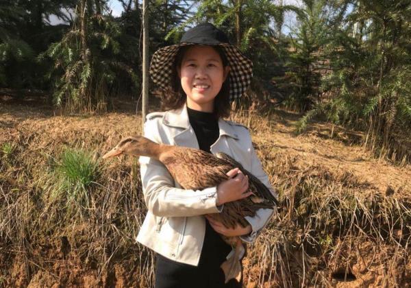 逆向奔跑者陳艷玲：返鄉創業打造新邵農業生態新名片