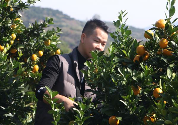 惠農網電商學員滕華：為夢歸鄉(xiāng) 小縣城也有大舞臺