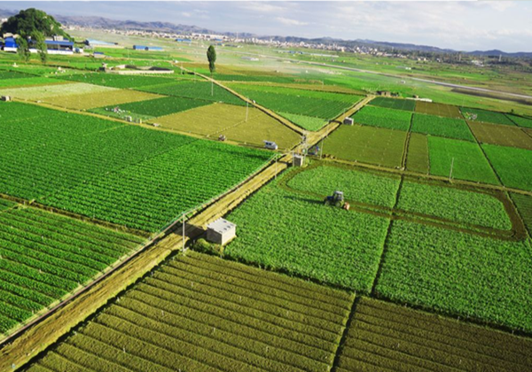 農業(yè)農村部辦公廳關于開展2022年全國休閑農業(yè)重點縣申報和監(jiān)測工作的通知