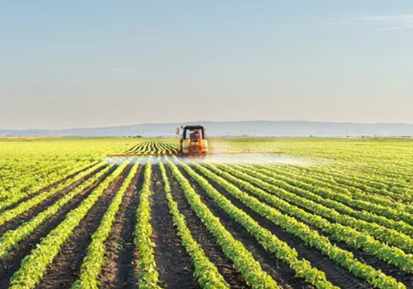 農業(yè)農村部辦公廳關于開展2022年農業(yè)品牌精品培育工作的通知